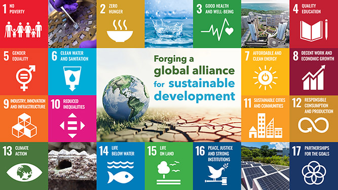 CityUHK at GSDC 2025