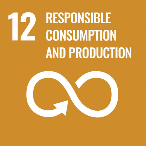 SDG12