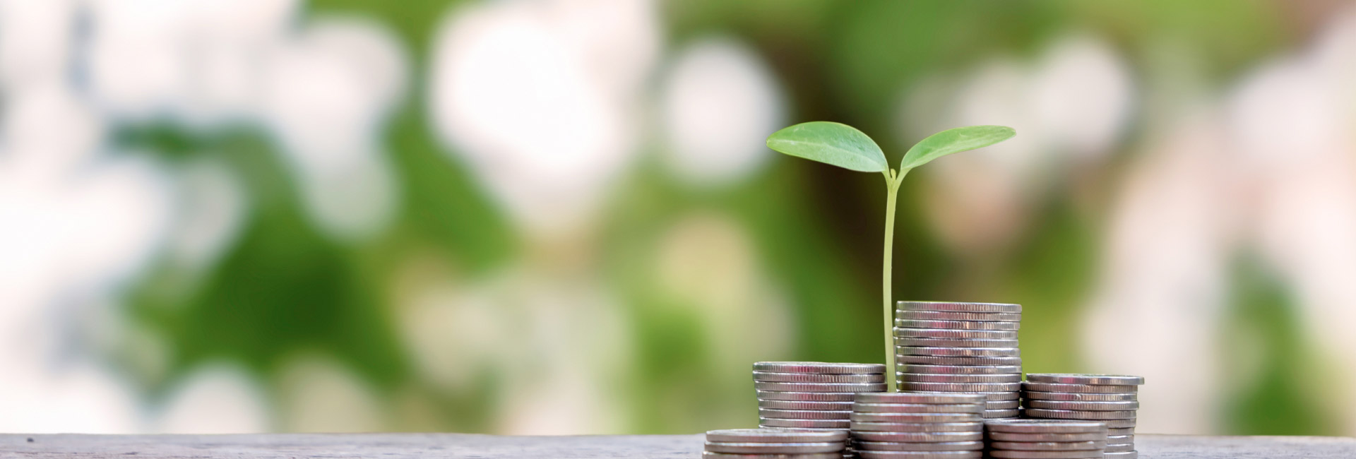 Fees and Scholarships Banner