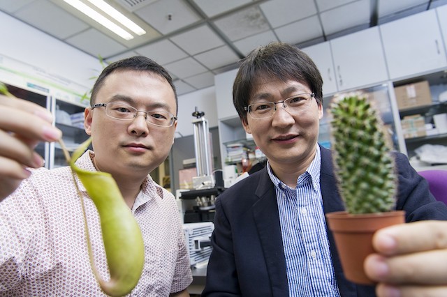 CityU secures HK$11m in collaborative research fund