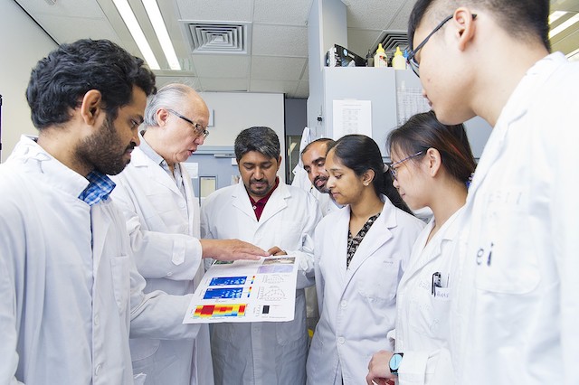 Secret to improving decision-making revealed