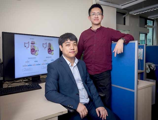 A biomarker for categorizing colorectal cancer patients