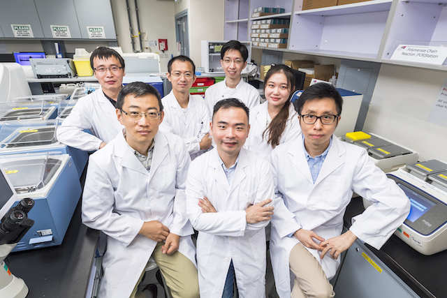 CityU&rsquo;s CRISPR-assisted novel method detects RNA-binding proteins in living cells
