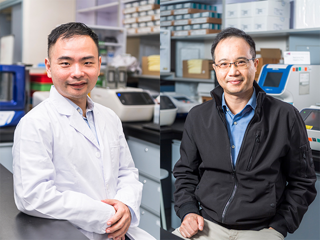 Regulatory mechanisms of virulence of a plant bacterial pathogen unveiled facilitating the development of new anti-bacterial drugs