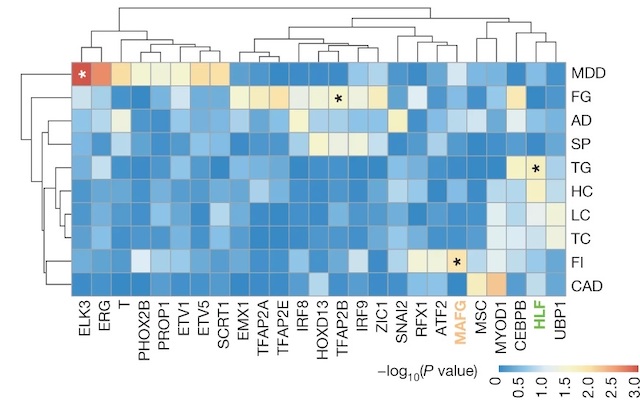 Efficient, Systematic Genetic Analysis Helps Dissect Disease Inheritance