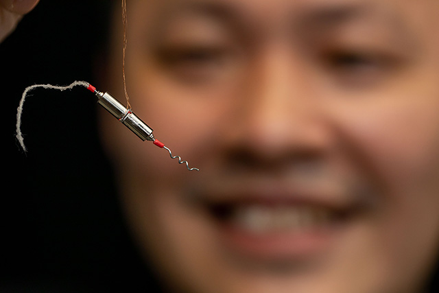 Discovery of ray sperms&rsquo; unique swimming motion and demonstration with bio-inspired robot