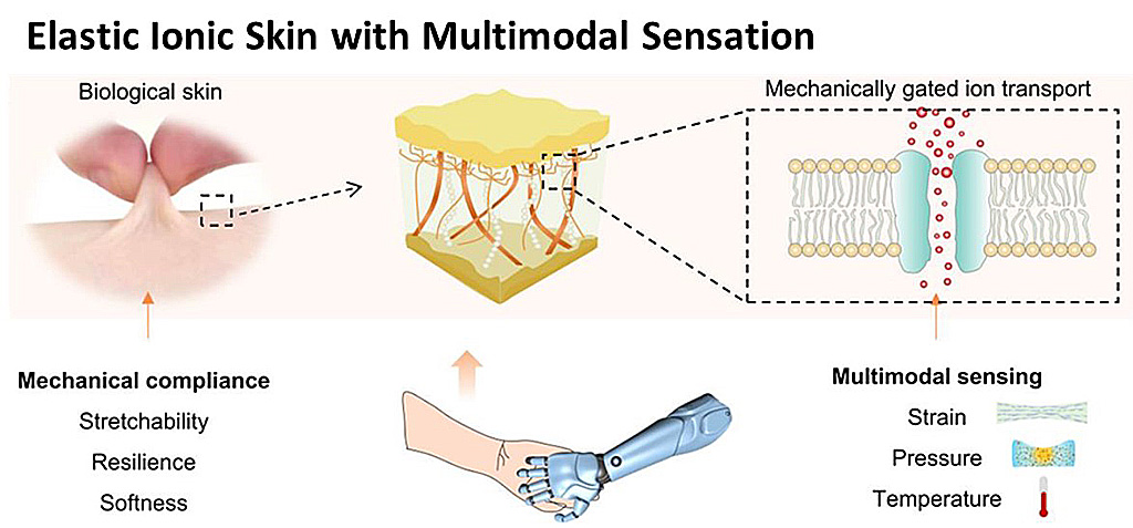 Elastic Ionic Skin: Scheme (adopted from Advanced Materials) showing the design principle and features of the bioinspired elastic ionic skin.