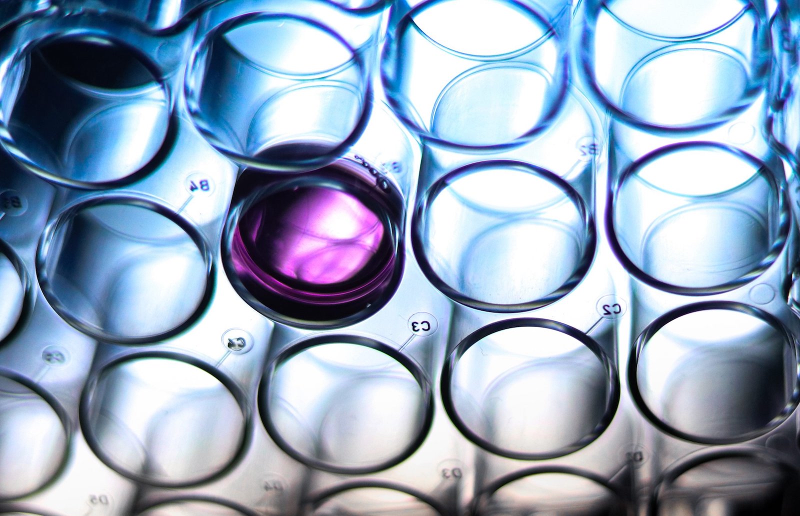 CityUHK BMS Research