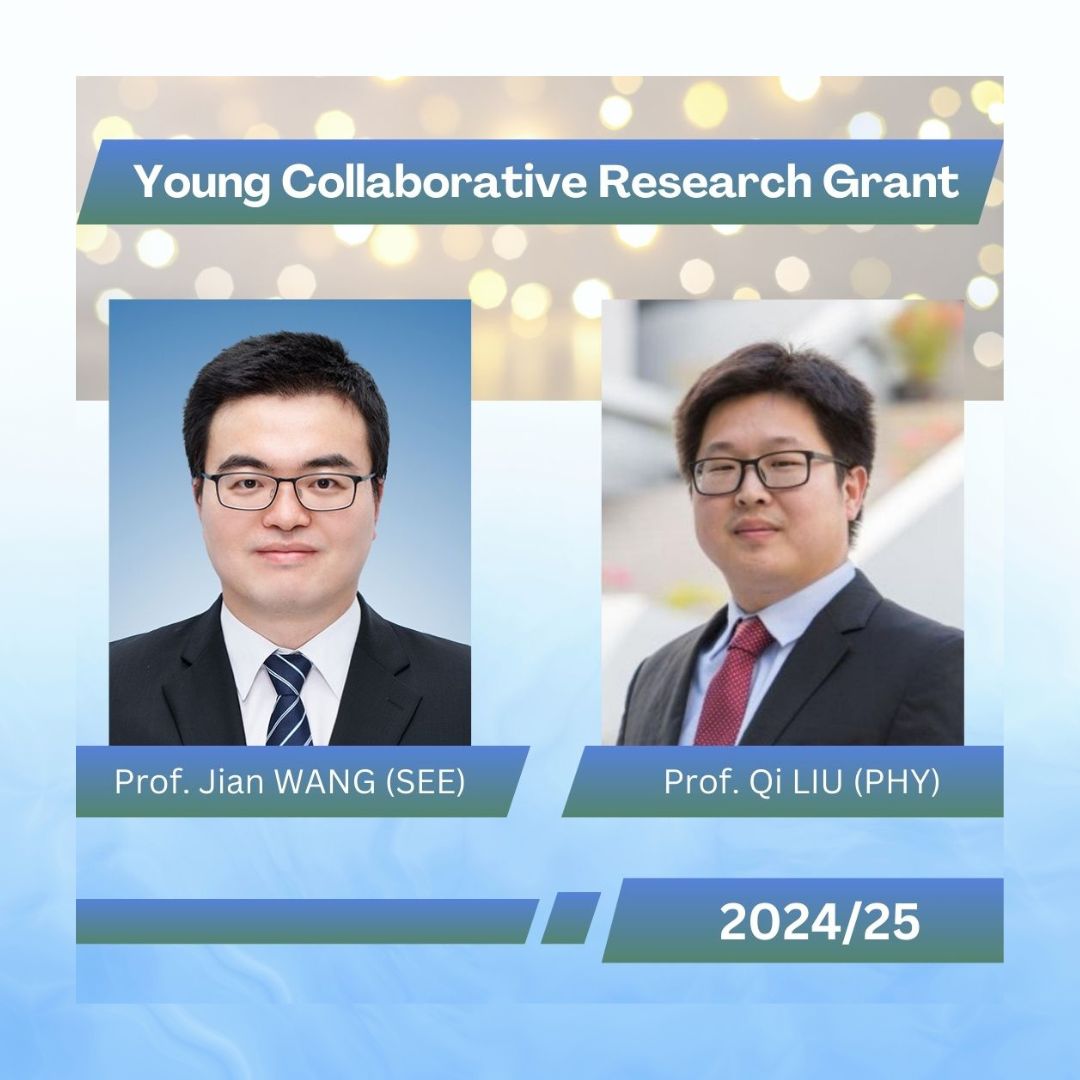 Young Collaborative Research Grant