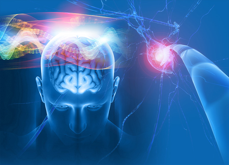 Life in the brain lane – neuroscience for a new era