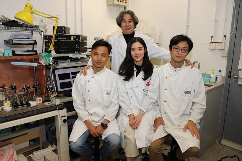 From Memory Formation to Treatment of Brain Disorders