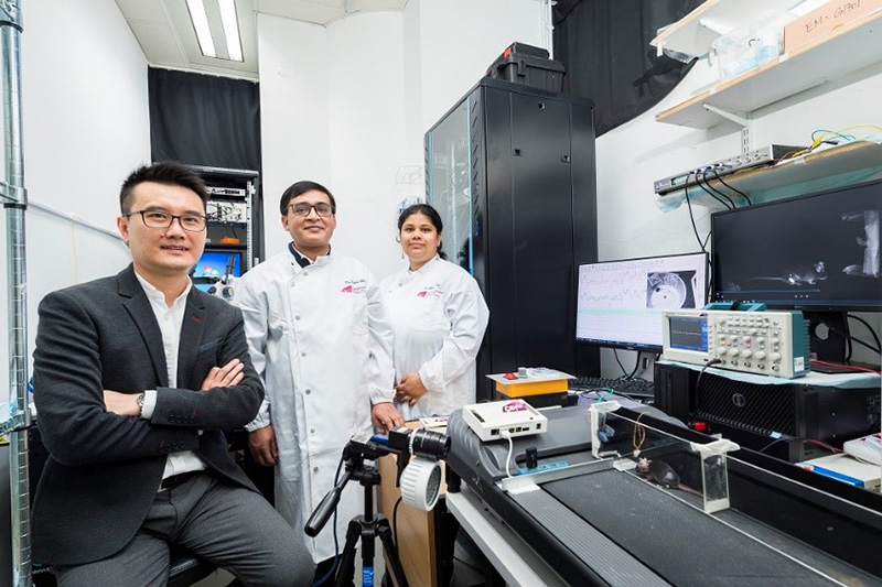 Novel Neural Prosthetic Devices for Neurodegenerative Diseases