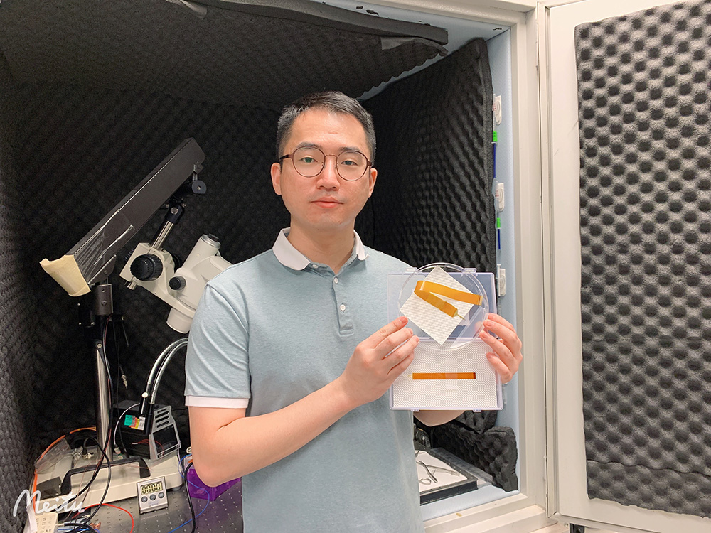Graphene-electrode array for brain map remodeling of the cortical surface