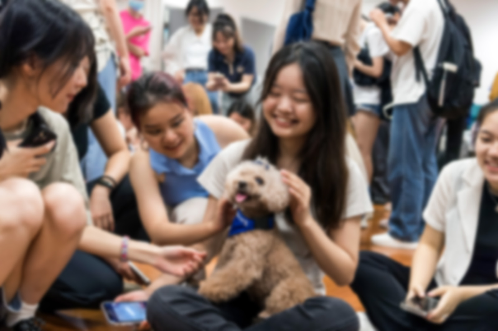 CityU students de-stress with “Professor Paws”