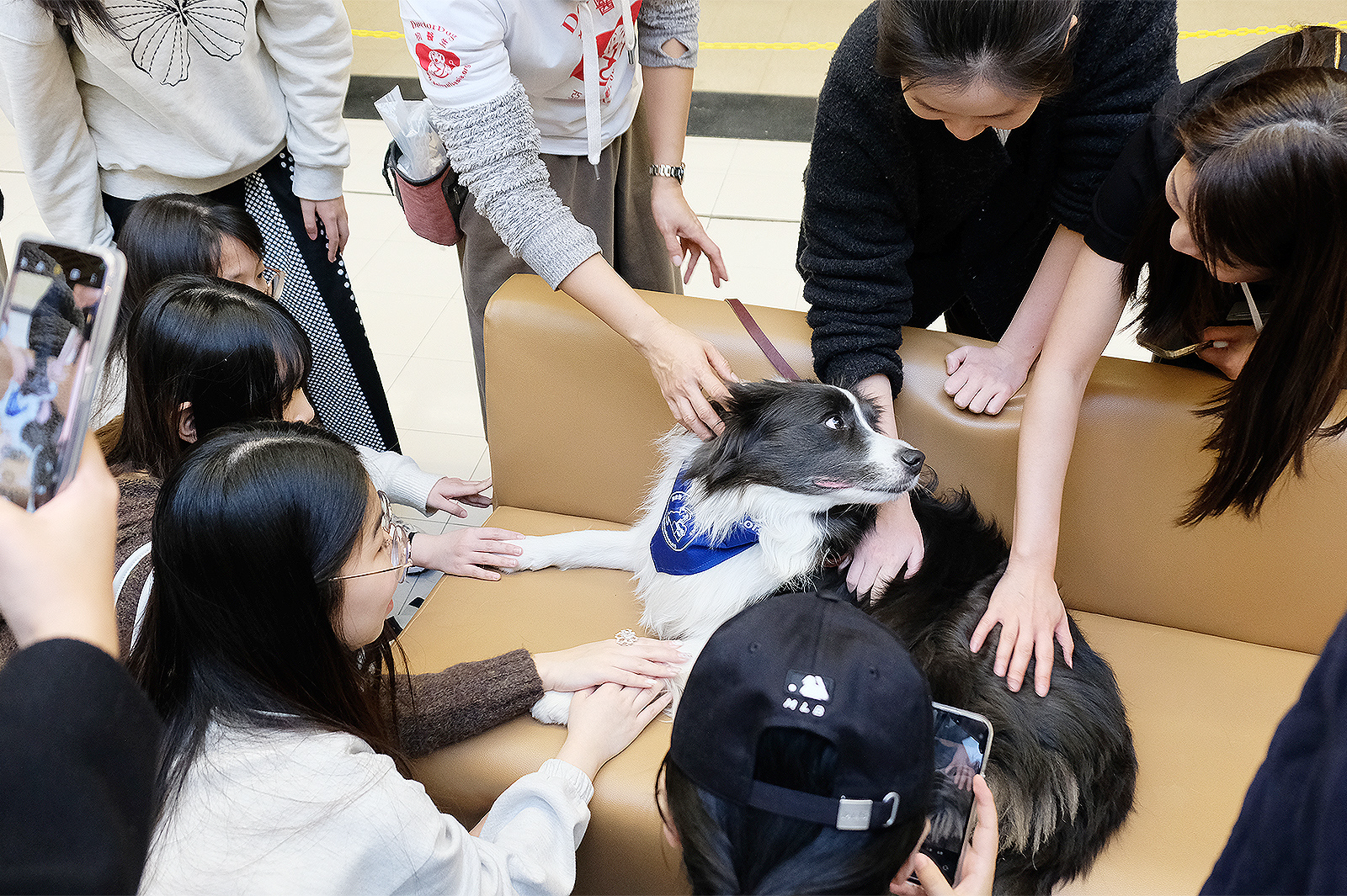 Students warmly welcome their furry guests.