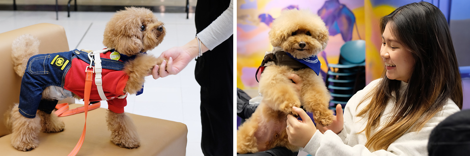 Students share the cheerful “paw-shake” moments with Professor Paws.