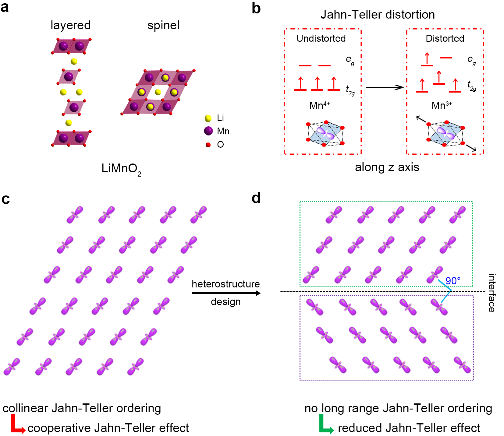 Jahn-Teller distortion and its orthogonal orbital ordering