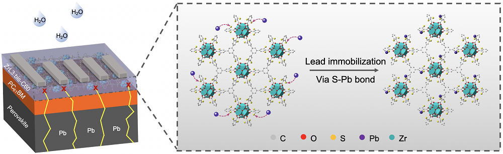 perovskite solar cells,PVSCs