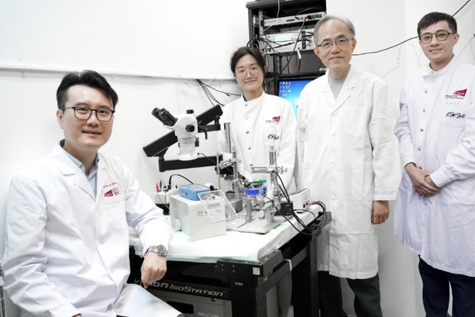 Professor Eddie Ma Chi-him (left), his PhD student Ms Chen Xinyu, Prof Peter Yu Kwan-Ngok and Dr Bennett Au from City University of Hong Kong. The first author, Dr Bennet Au, is a CityU PhD graduate and post-doc fellow who has been moved to the University of Portsmouth recently.