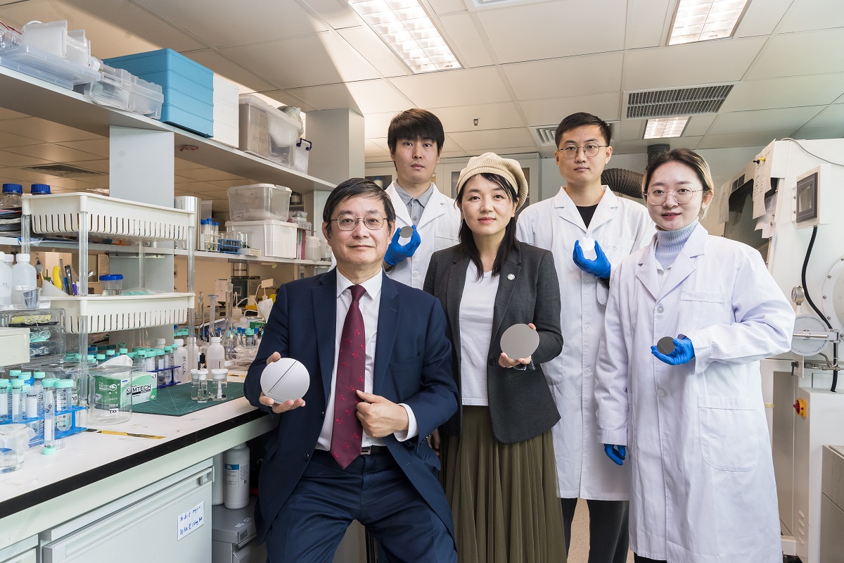 dual-phase nanostructure