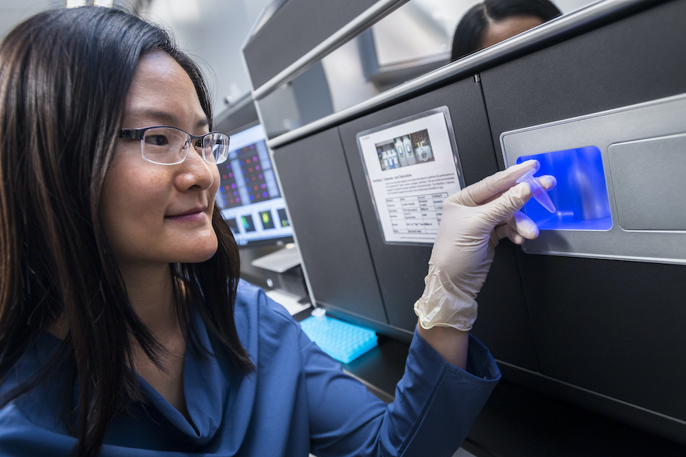 plasmacytoid dendritic cells