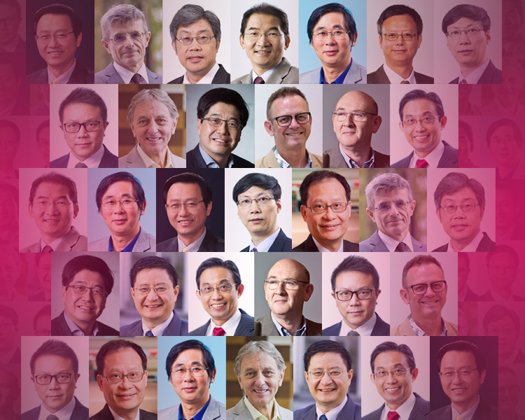 Named Professorship Scheme