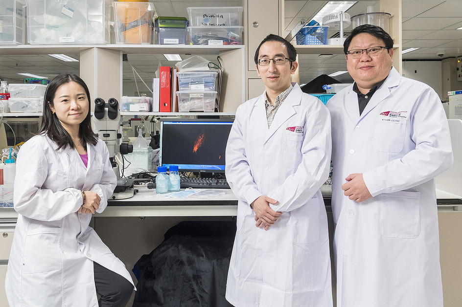 Microplastic pollution