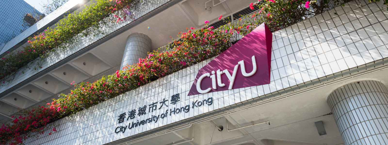 CityUHK