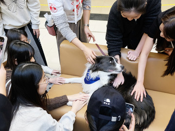 Professor Paws bring joy back to CityUHK community