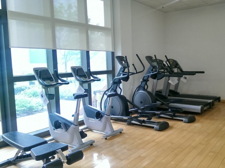 Physical Education and Sports