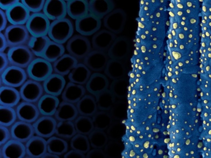 Ability R&D Energy Research Centre (AERC)