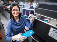 Dr Chow Kwan Ting,City University of Hong Kong 