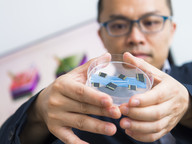 Professor He,novel photoelectrochemical system