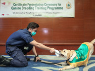 CityU organises canine breeding programme for HK Customs