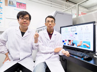 Flexible electronic sensors enable more exhaustive joint health monitoring