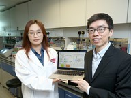 Man-made Environments