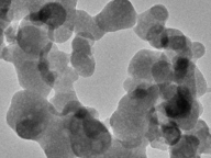 CityU researchers discover eco-friendly way to make ceramics inspired by nature