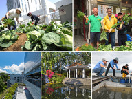 CityUHK promotes sustainability initiatives for a better future, achieving notable performance in QS Sustainability Rankings 2025