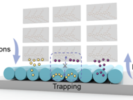 Breakthrough in Bionic Vision Technology Mimics Birds' Extraordinary Sight