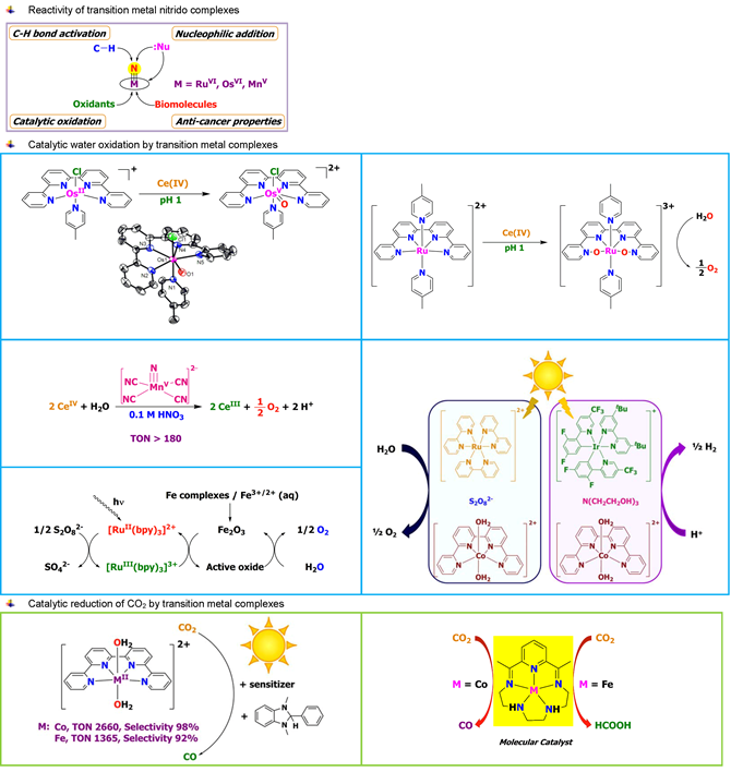 TCLaU_research_project_image