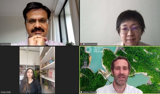 Business and Human Rights Webinar Speakers