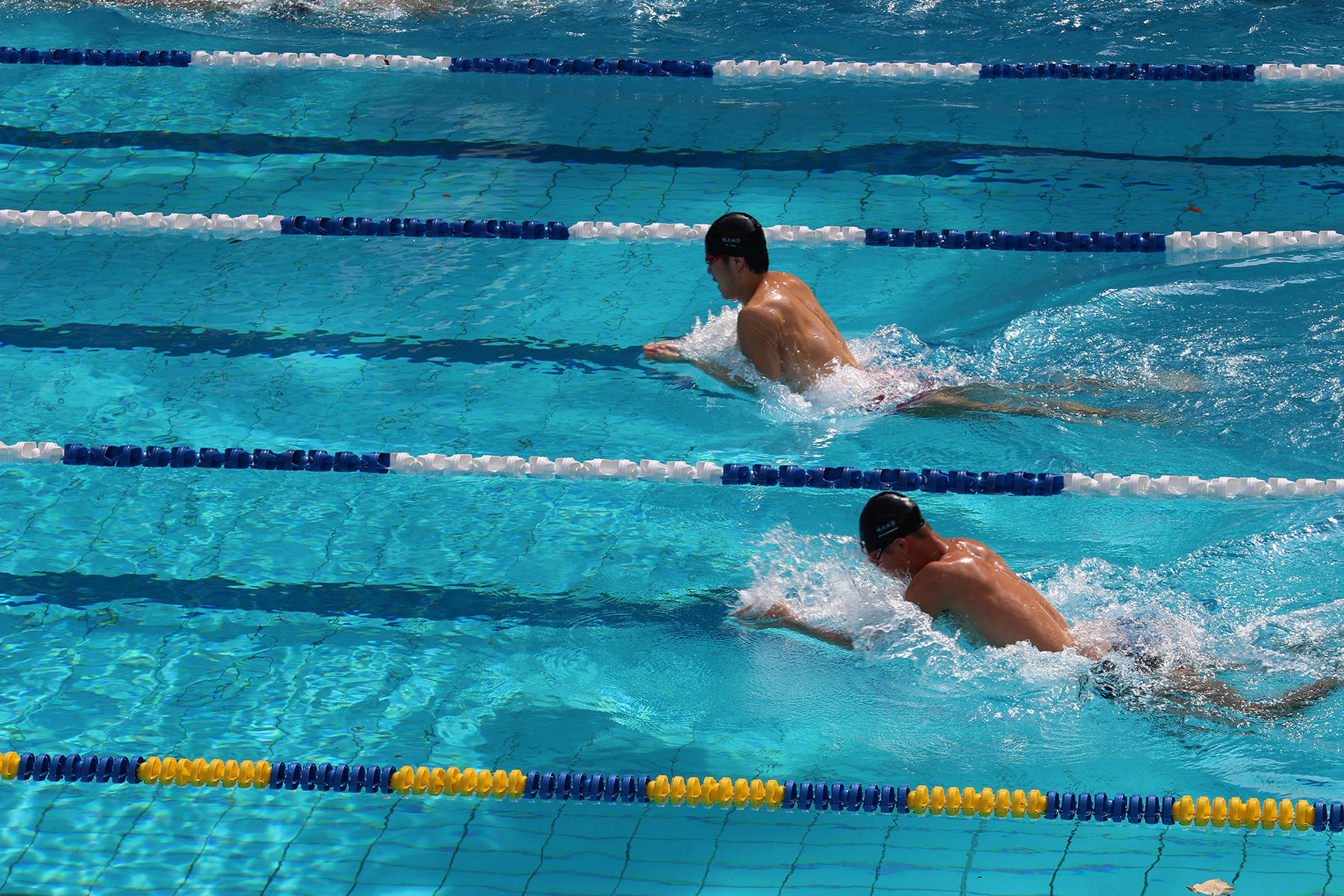 Aquatic Meet 2017/18