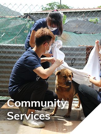 Community Services