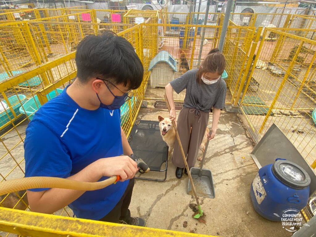 Visiting the dog rescue centre